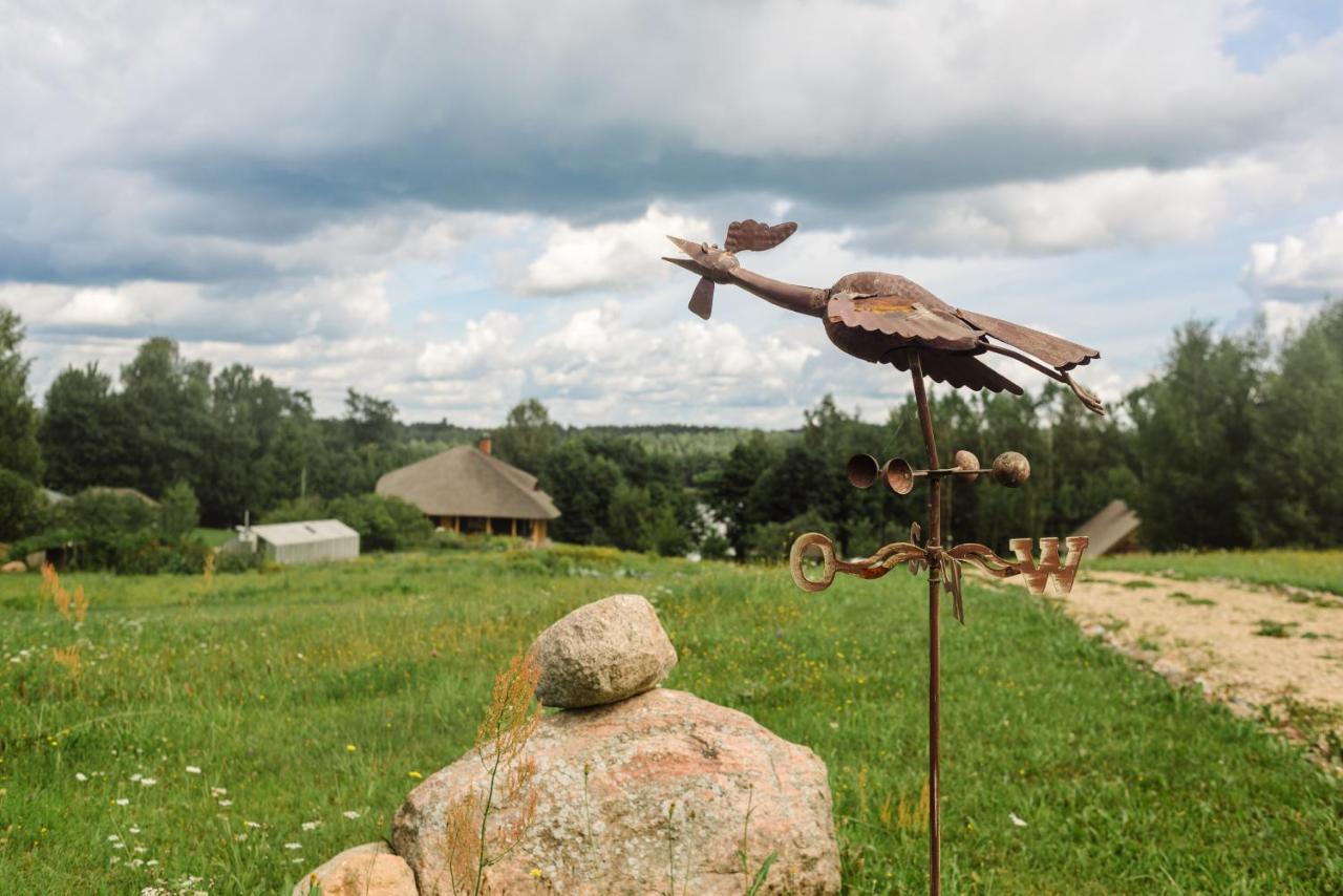 Viesu Seta Locu Sala Villa Krāslava Buitenkant foto