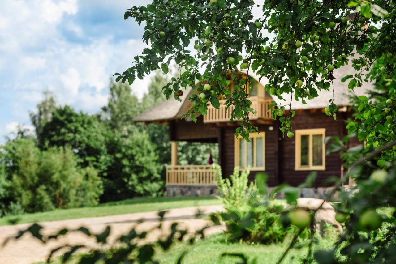 Viesu Seta Locu Sala Villa Krāslava Buitenkant foto